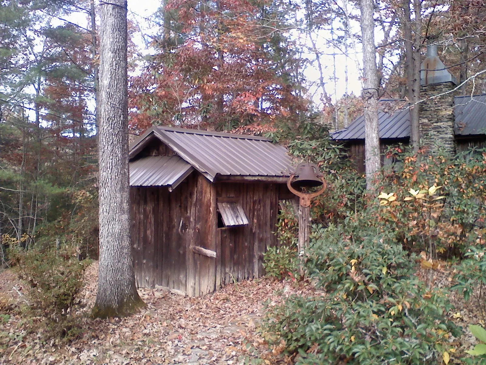Small metal roof on a rough sawn shed in the woods in Fowler